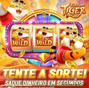 Suporte Login